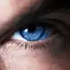 Zehlm