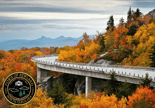 Website Services for Newland, North Carolina Newland Website Services