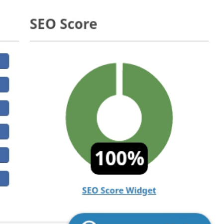 SEO Score